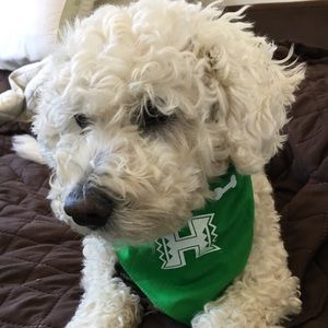 Meet your Posher, Tori